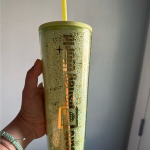 NEW 2025 Starbucks Disney World Parks Tinkerbell tumbler, 24oz